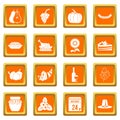 Thanksgiving icons set orange Royalty Free Stock Photo