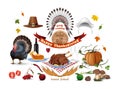 Thanksgiving icons set Royalty Free Stock Photo