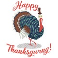 Thanksgiving illustration with turkey in a hat