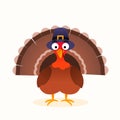 Thanksgiving isolated vector turkey, cartoon character