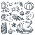 Thanksgiving menu design elements. Traditional holiday home made meal. Vector sketch illustration