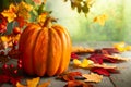Thanksgiving orange pumpkins, autumn leaves and berries on wooden table.  Autumn background banner with falling leaves Royalty Free Stock Photo