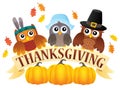 Thanksgiving owls thematic image 7 Royalty Free Stock Photo