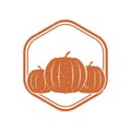 thanksgiving pumpkin. Vector illustration decorative design Royalty Free Stock Photo