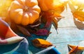 Thanksgiving With Pumpkins, autumn leaves And warm blanket