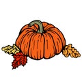 Thanksgiving pumpkins