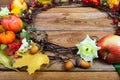 Thanksgiving pumpkins, snowberry, apples, maple leaves wreath, c Royalty Free Stock Photo