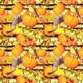 Thanksgiving repeating pattern - birds, autumn flowers, pumpkins . Vintage watercolor with black stripes Royalty Free Stock Photo