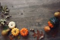 Thanksgiving season still life with colorful small pumpkins, acorn squash, fruit and fall leaves over rustic wood background