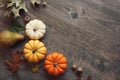 Thanksgiving season still life with colorful small pumpkins, acorns, fruit and fall leaves over rustic wood background