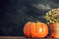 Thanksgiving still life with pumpkin and dry flowers