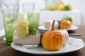 Thanksgiving table setting Royalty Free Stock Photo