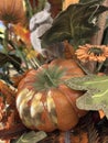 Thanksgiving themed garden with pumpkins
