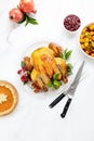 Thanksgiving traditional prepared food on a kitchen marble table surface