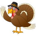 Thanksgiving Turkey Royalty Free Stock Photo