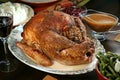 Thanksgiving Turkey Royalty Free Stock Photo