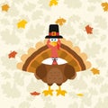 Thanksgiving Turkey Bird Wearing A Pilgrim Hat Royalty Free Stock Photo