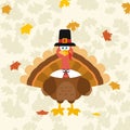 Thanksgiving Turkey Bird Wearing A Pilgrim Hat. Royalty Free Stock Photo