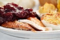 Thanksgiving Turkey with Cranberry Sauce Royalty Free Stock Photo