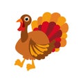 Thanksgiving turkey illustration