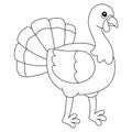 Thanksgiving Turkey Pilgrim Isolated Coloring Page