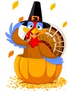 Thanksgiving Turkey in the pumpkin Royalty Free Stock Photo