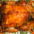 Thanksgiving turkey with vegies on white plate Royalty Free Stock Photo