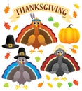 Thanksgiving turkeys thematic set 1 Royalty Free Stock Photo