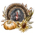 Thanksgiving vintage illustration. Cute turkey, sunflowers and pumpkin