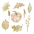 Thanksgiving watercolor elements, autumn leaves and pumpkin