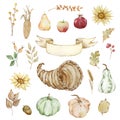 Thanksgiving watercolor elements, cornucopia, pumpkins and fruits Royalty Free Stock Photo