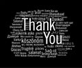 Thank you collage in 50+ languages Royalty Free Stock Photo