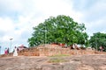 Thanthirimale Raja Maha Vihara,bo tree in ancient Buddhist temple, Anuradhapura district, Sri Lanka