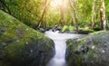 Thao To Waterfall. river background with small waterfalls in tropical forest Royalty Free Stock Photo