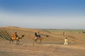 Cameleer taking tourists on camel to watch sun rise. Dromedary, dromedary camel,