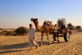 Indian cameleer (camel driver)