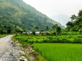 Tharanche village between rice fields Royalty Free Stock Photo