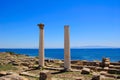 Tharros Columns