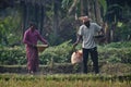 Tharu man and woman strewing seeds in fields Royalty Free Stock Photo