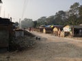 Tharu village Royalty Free Stock Photo