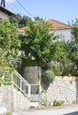 Thassos, August 23th: Apples Tree in Theologos Village from Thassos island in Greece Royalty Free Stock Photo