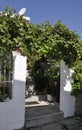 Thassos, August 23th: Traditional House Garden in Theologos Village from Thassos island in Greece Royalty Free Stock Photo