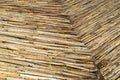 Thatch background Royalty Free Stock Photo