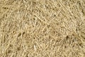 Thatch background Royalty Free Stock Photo