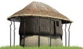 Thatch hut in grass - on white background Royalty Free Stock Photo