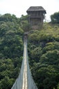 THATCH LOOKOUT ON FAR SIDE OF SUSPENSION BRIDGE OVER ORIBI GORGE Royalty Free Stock Photo