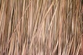 Thatch roof background, hay or dry Blady grass background Royalty Free Stock Photo