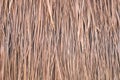 Thatch roof background, hay or dry grass background Royalty Free Stock Photo