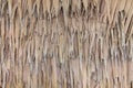 Thatch roof background, hay or dry grass background Royalty Free Stock Photo