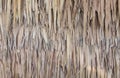 Thatch roof background, hay or dry grass background Royalty Free Stock Photo